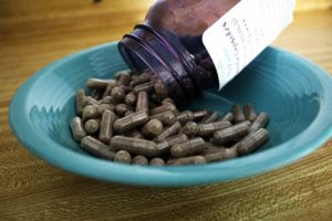 Placenta encapsulation benefits evidence
